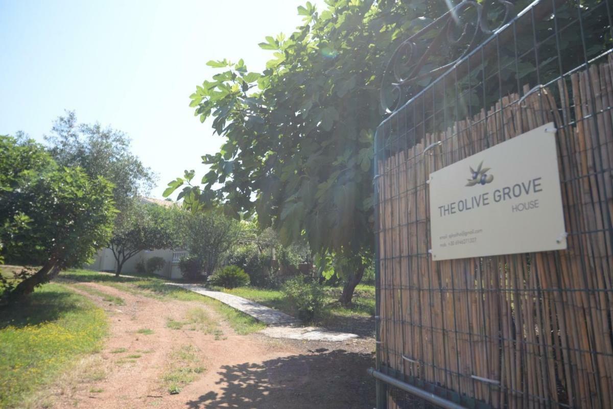 Villa The Olive Grove House Kassiopi Esterno foto